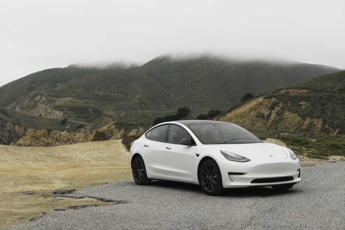 2023 Tesla Model Y — photo 1